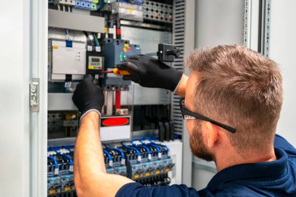 Best Local Electrician Companies  in Davis Junction, IL