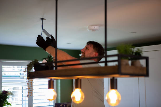 Best Outdoor Lighting Installation  in Davis Junction, IL