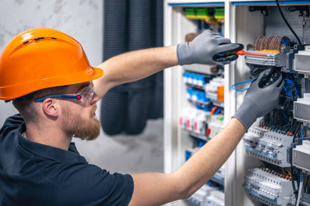 Best Electrician for Home Renovation  in Davis Junction, IL