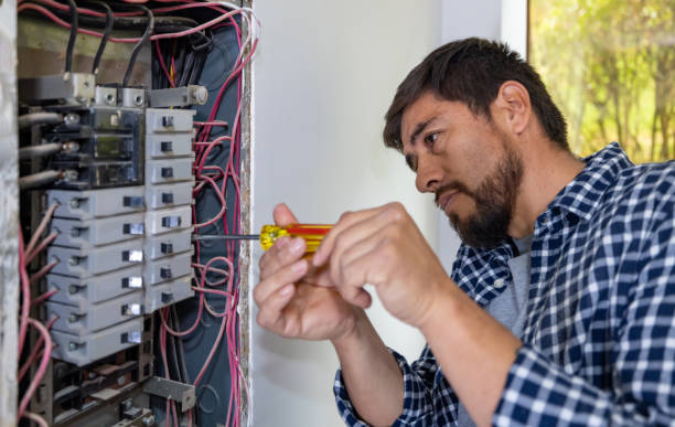 Best Electrical Outlet Repair  in Davis Junction, IL